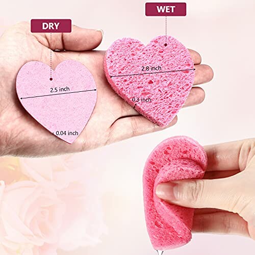 Comparison of dry and wet heart-shaped sponges held in hand.